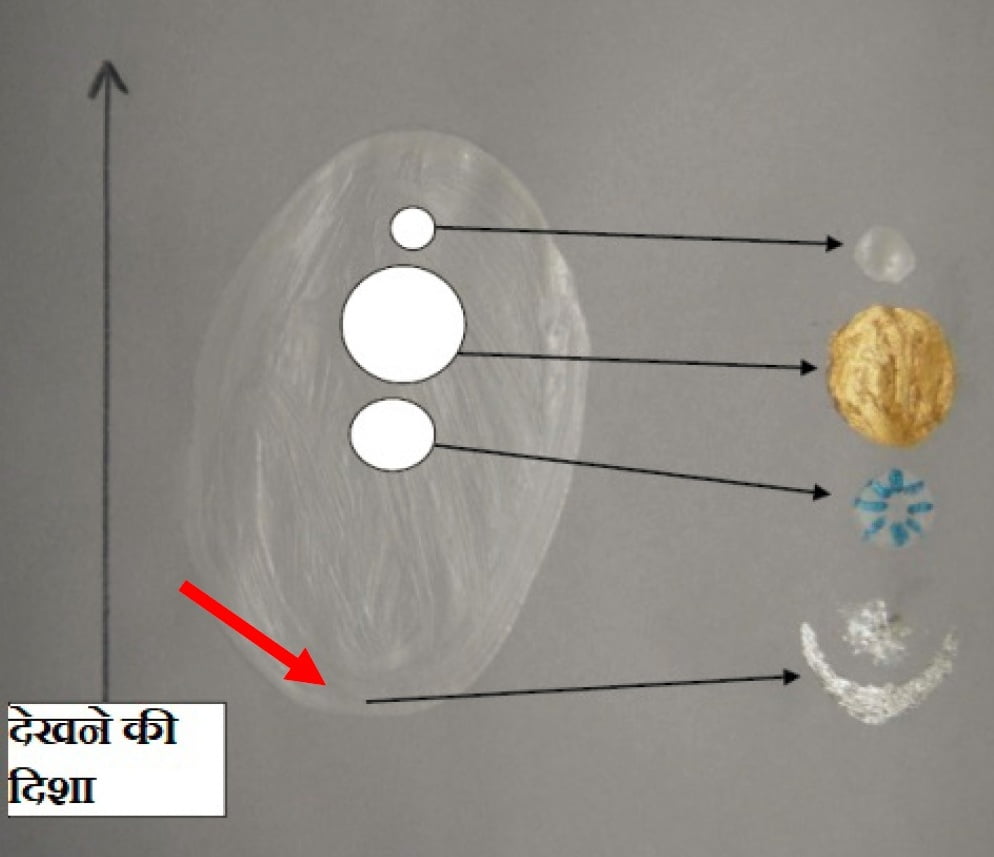 विष्णुरंध्र, विष्णुयान, वेद यान, वैष्णव यान