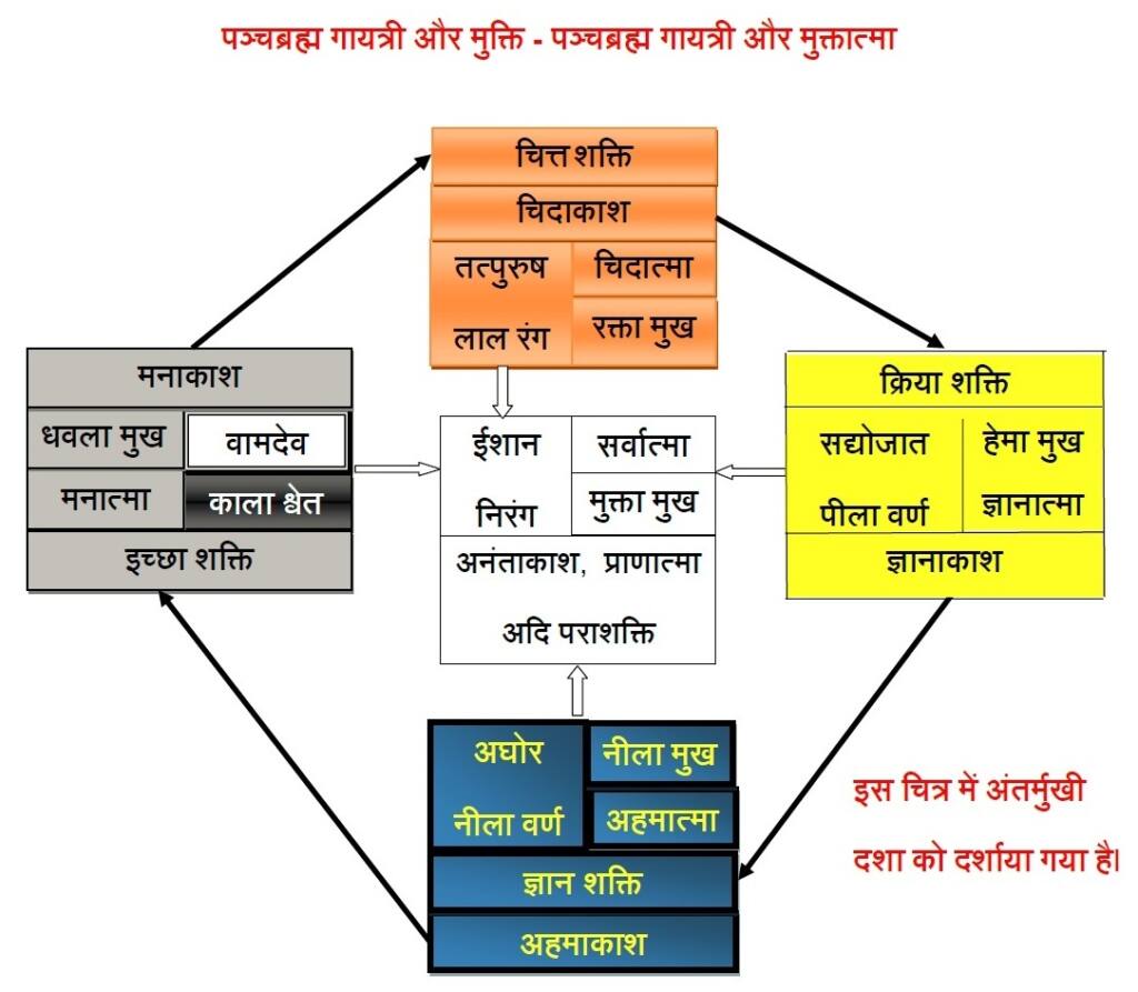 पञ्चब्रह्म गायत्री और मुक्ति, पञ्च ब्रह्म गायत्री और मुक्तात्मा