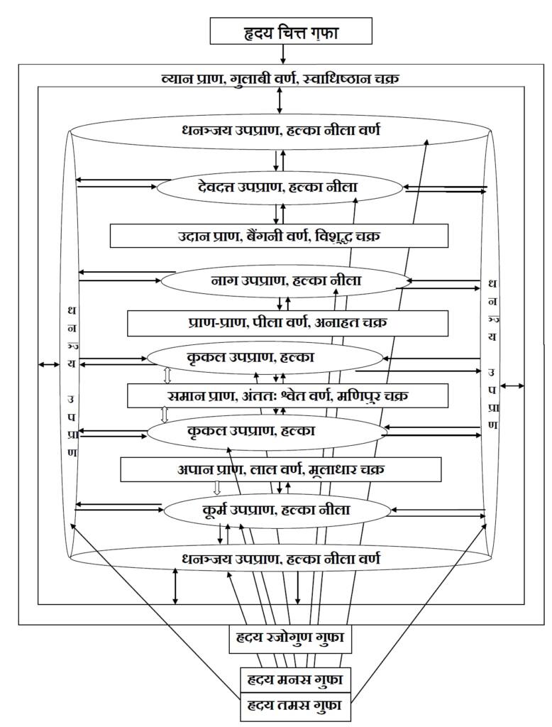 हृदय में पञ्च प्राण का तंत्र