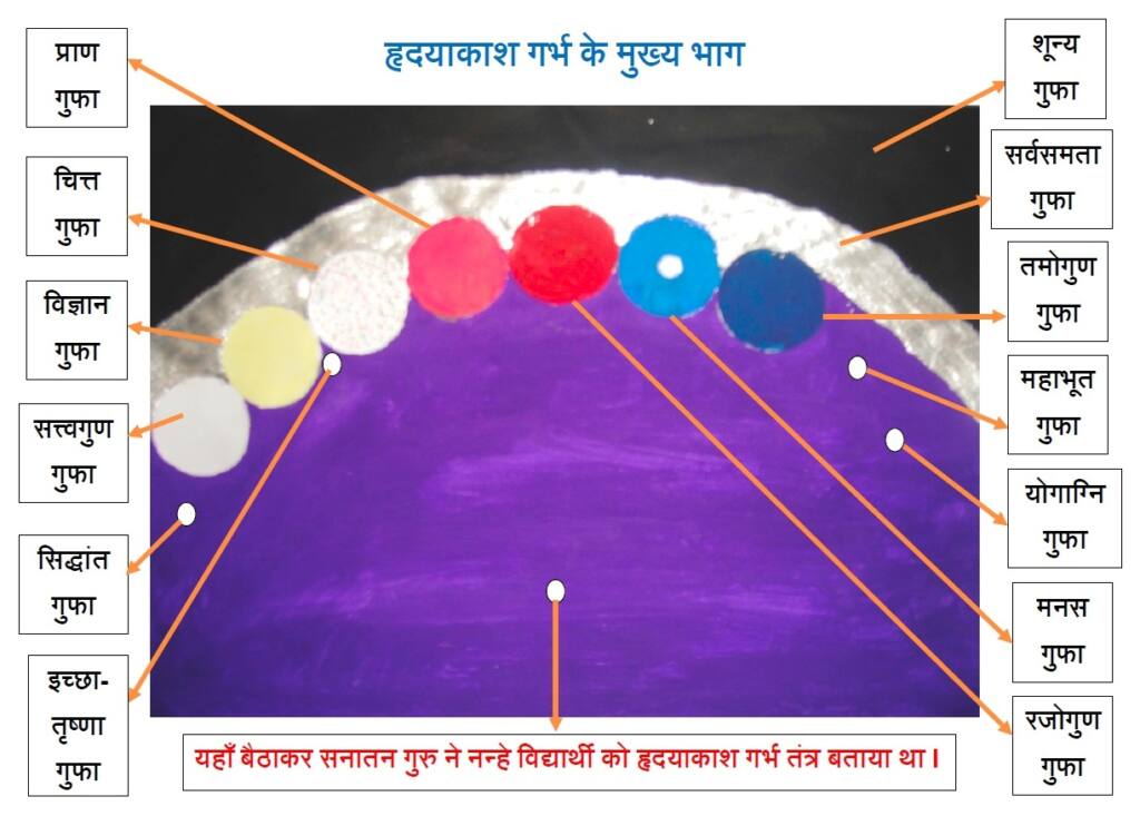 हृदयाकाश गर्भ के मुख्य भाग